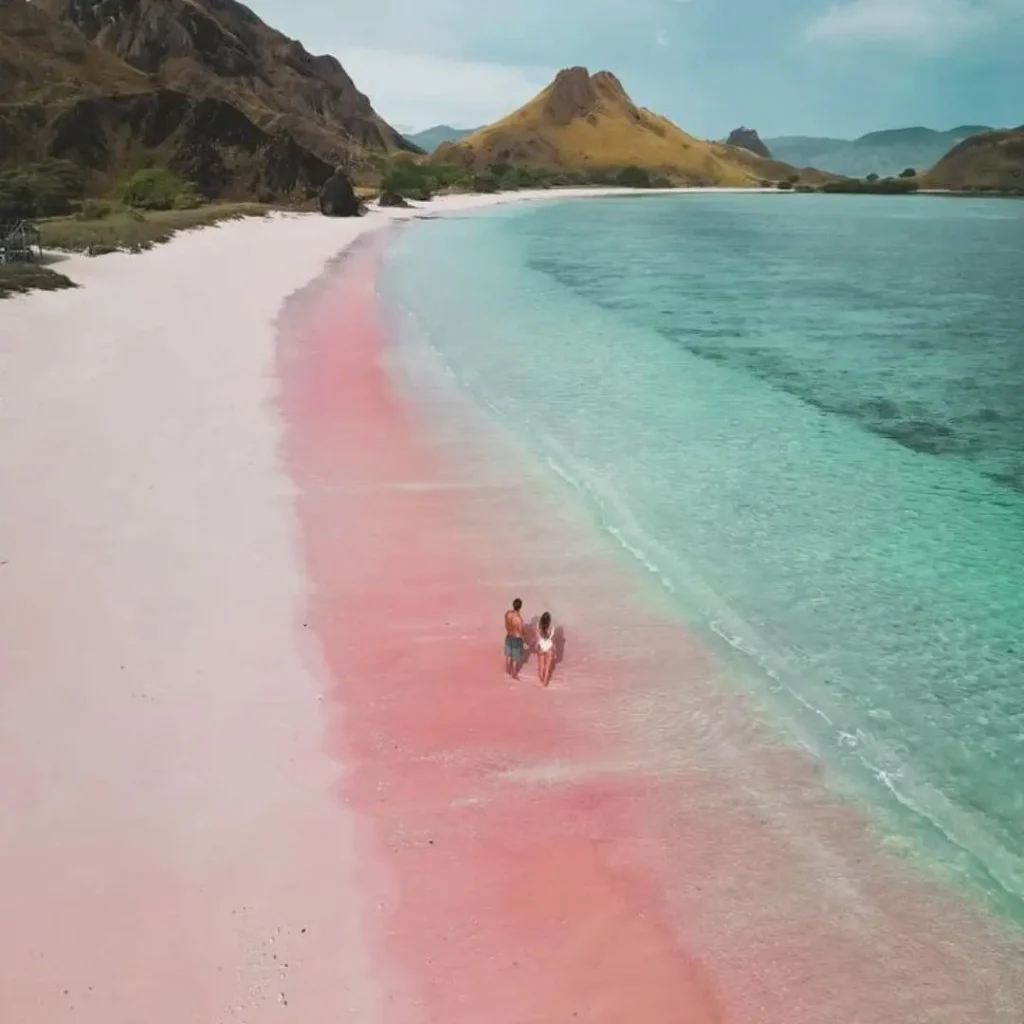 pink beach labuan bajo,5 hidden beach in labuan bajo,pink beach komodo
